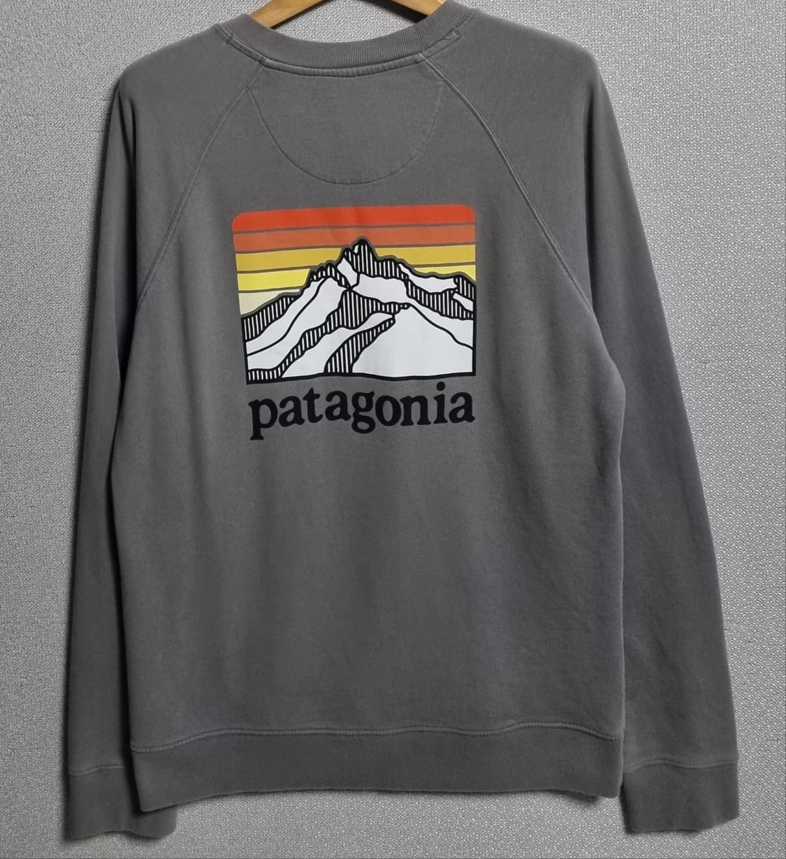 M ) 파타고니아 그레이 맨투맨 상품이미지2