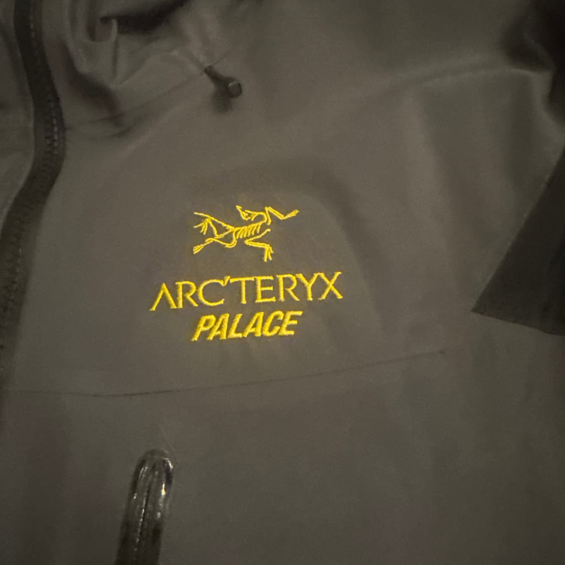 아크테릭스 팔라스 sv 상품이미지2