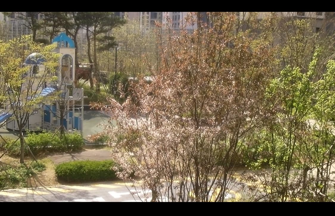 빈티지 디카 캠코더 산요 작티 DMX-CS1 / 작례있음 상품이미지10