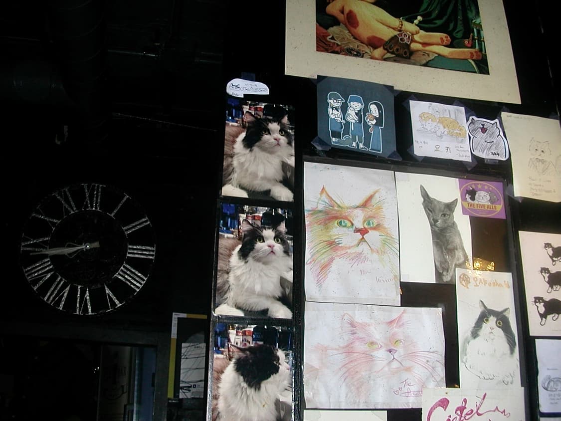 니콘 쿨픽스 2500 카메라+배터리,충전기+메모리카드 (작례o) 상품이미지5