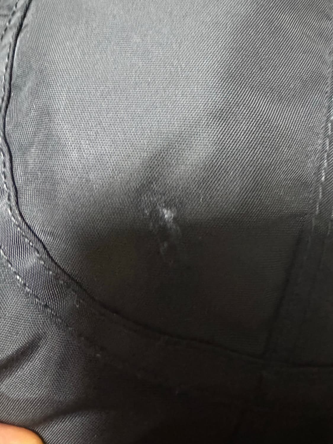 파라점퍼스고비마스터피스 라지사이즈 상품이미지7