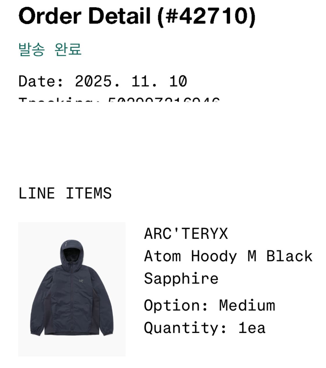 아크테릭스 아톰 후디 M 블랙사파이어 상품이미지8