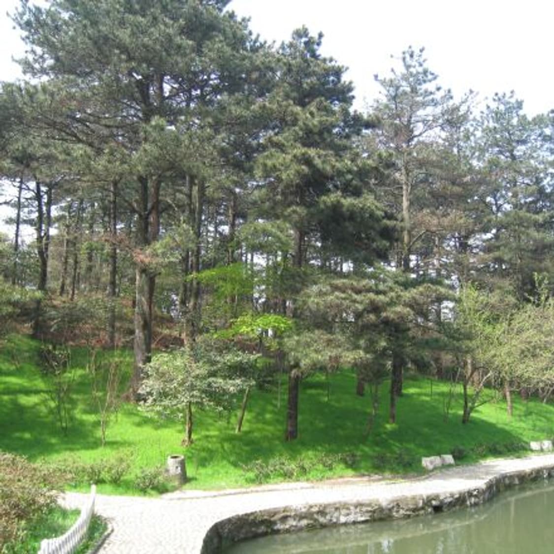 Canon ixus 860is / ixy 910is 캐논 익서스 디카 상품이미지2