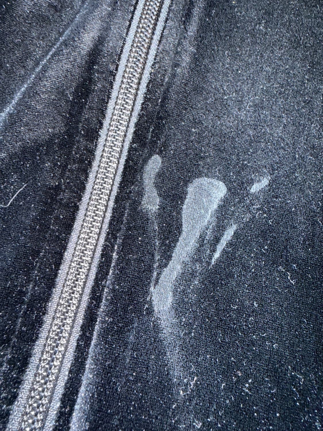 널디 져지 black 상품이미지5