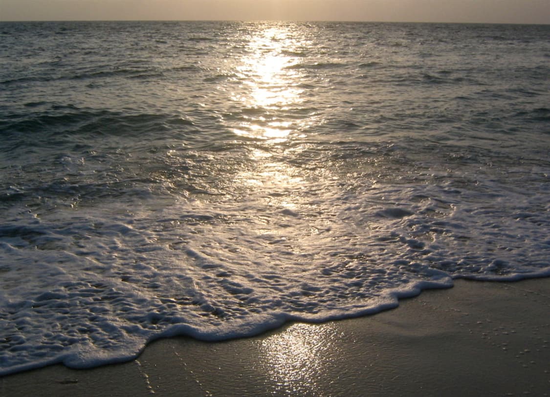 (레트로감성🖤) 캐논 Canon IXY Digital 30 상품이미지8