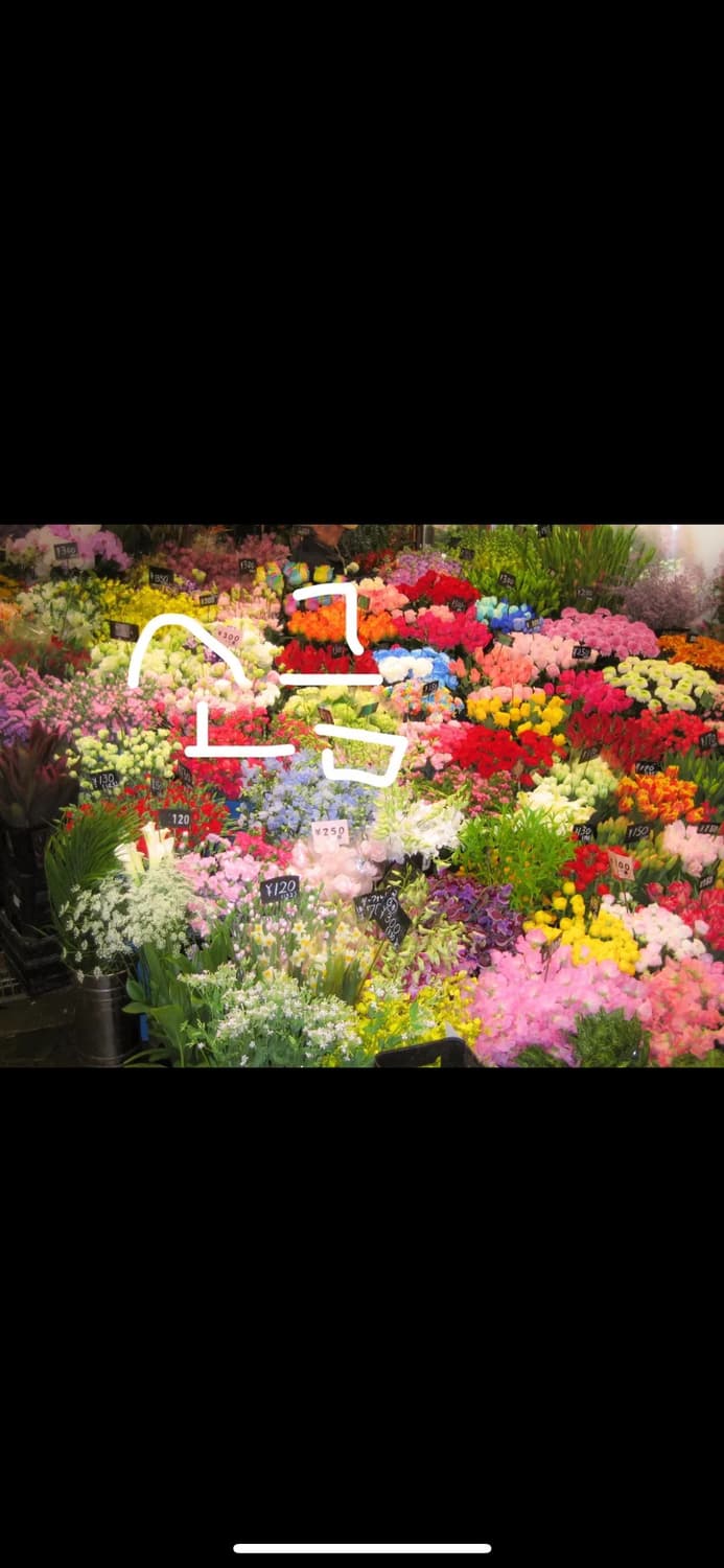 캐논 익시 ixy 920is (익서스 ixus 870) 배터리+SD카드 상품이미지10