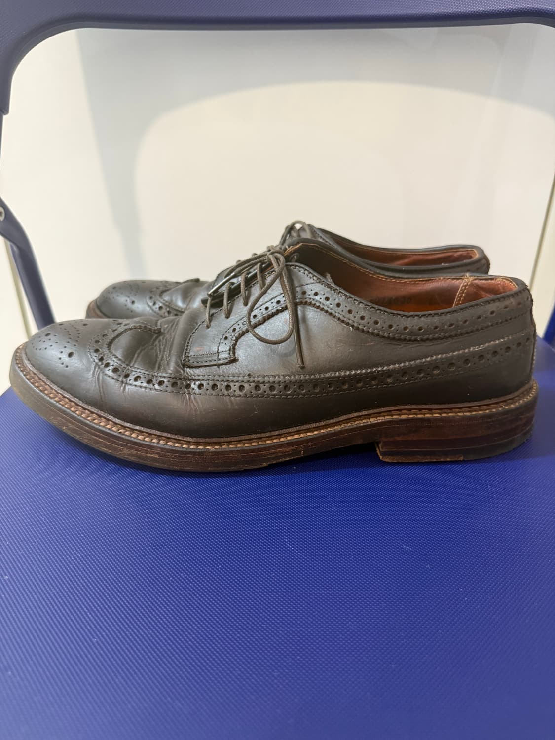 Alden Longwing Blucher Brown Chromexcel 상품이미지2