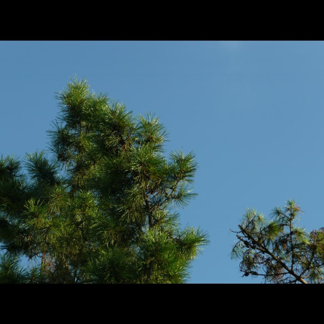 작례⭕️ 파나소닉  루믹스 DMC-TZ3 빈티지 디카 디지털카메라 상품이미지5