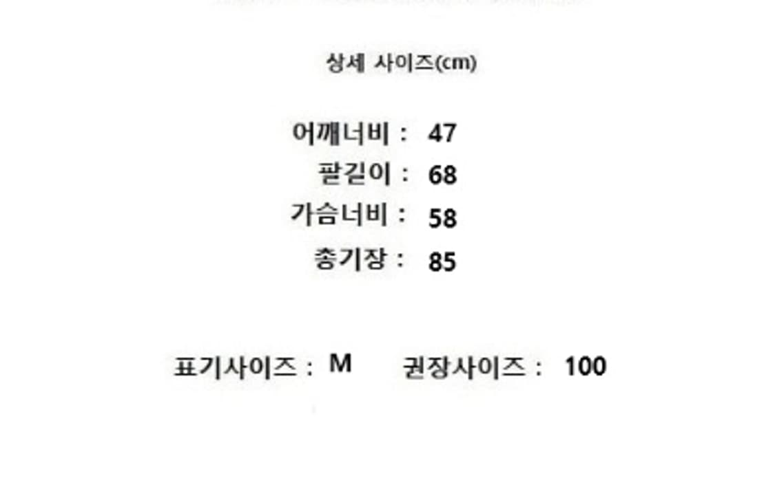 ARC'TERYX 아크테릭스 상품이미지10