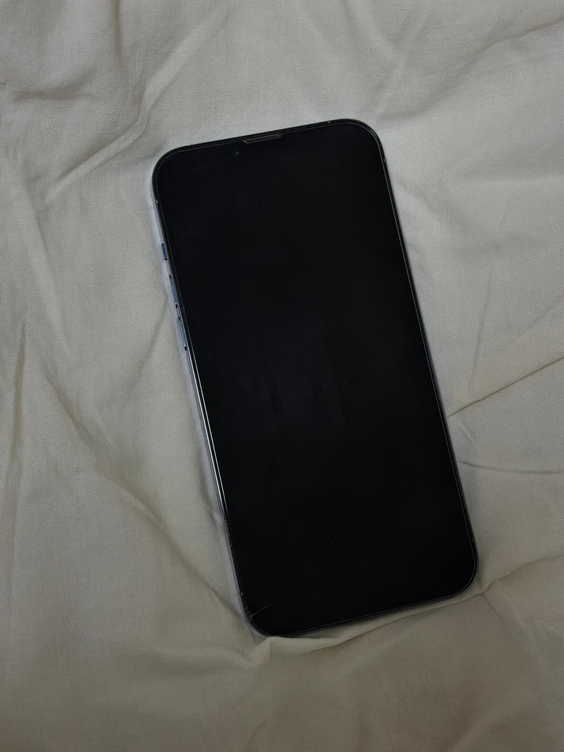 아이폰 13 프로 맥스 시에라 블루 128기가 pro max 상품이미지2