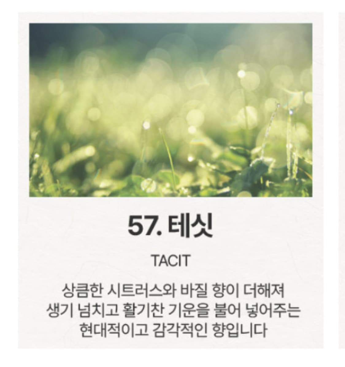 로저리 니치향수 2개 일괄 상품이미지3