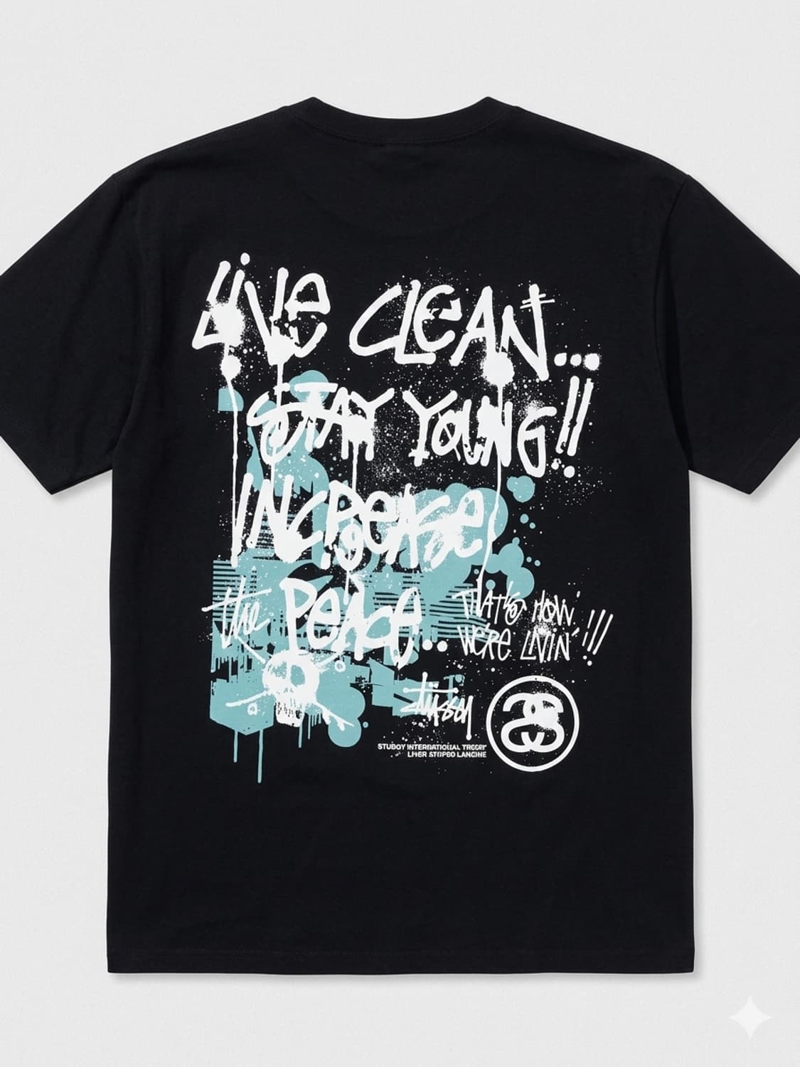 스투시(Stussy) 'LIVE CLEAN...' 백로고 반팔티 상품이미지2