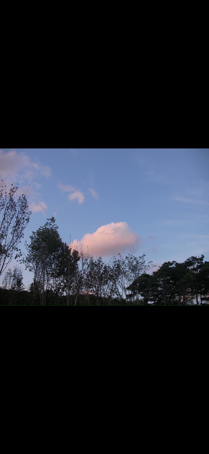 산요 작티 VPC-CG65 캠코더 디카 상품이미지7