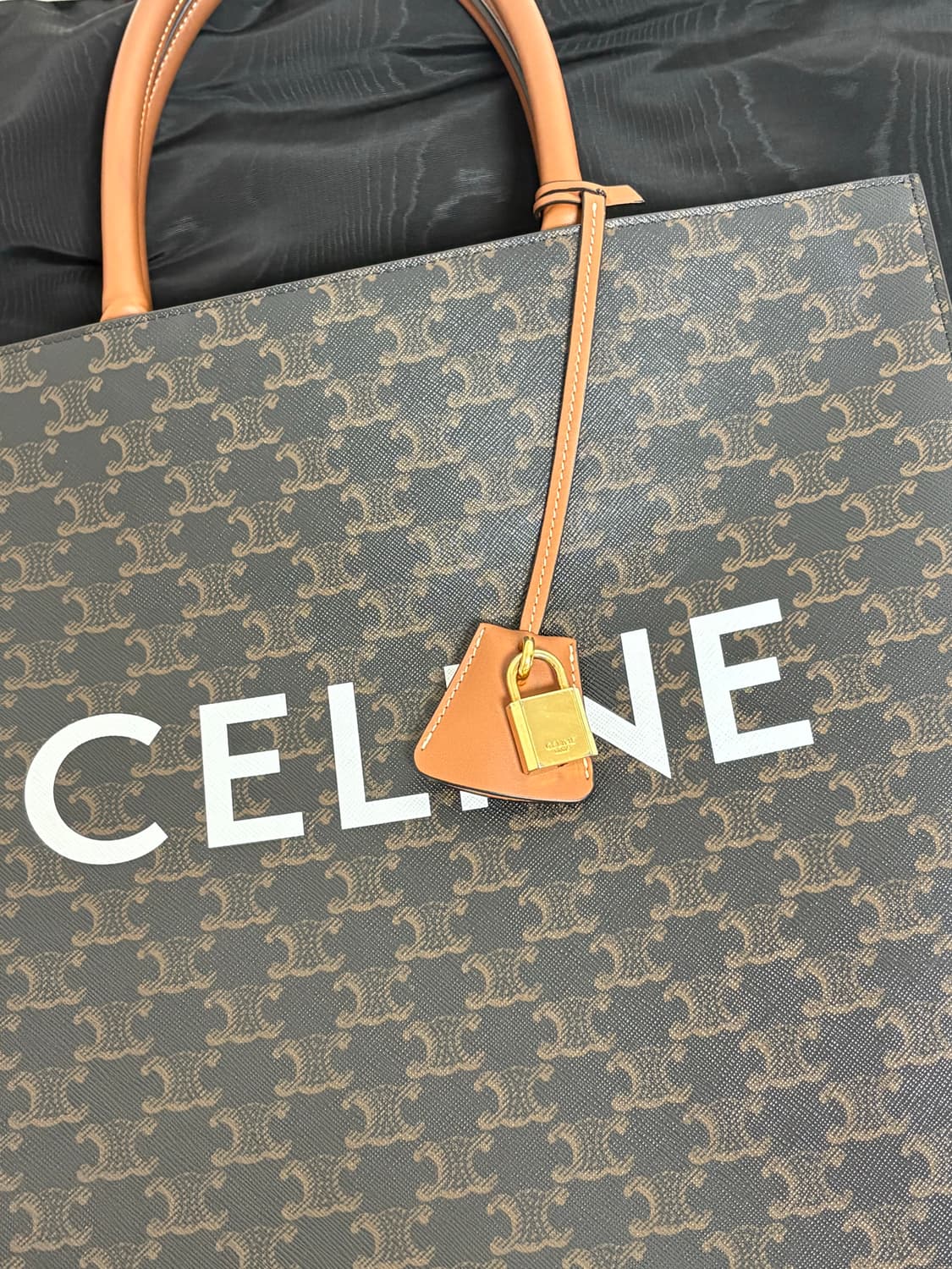 셀린느 트리오페 버티컬 카바스 토트백 라지 상품이미지5