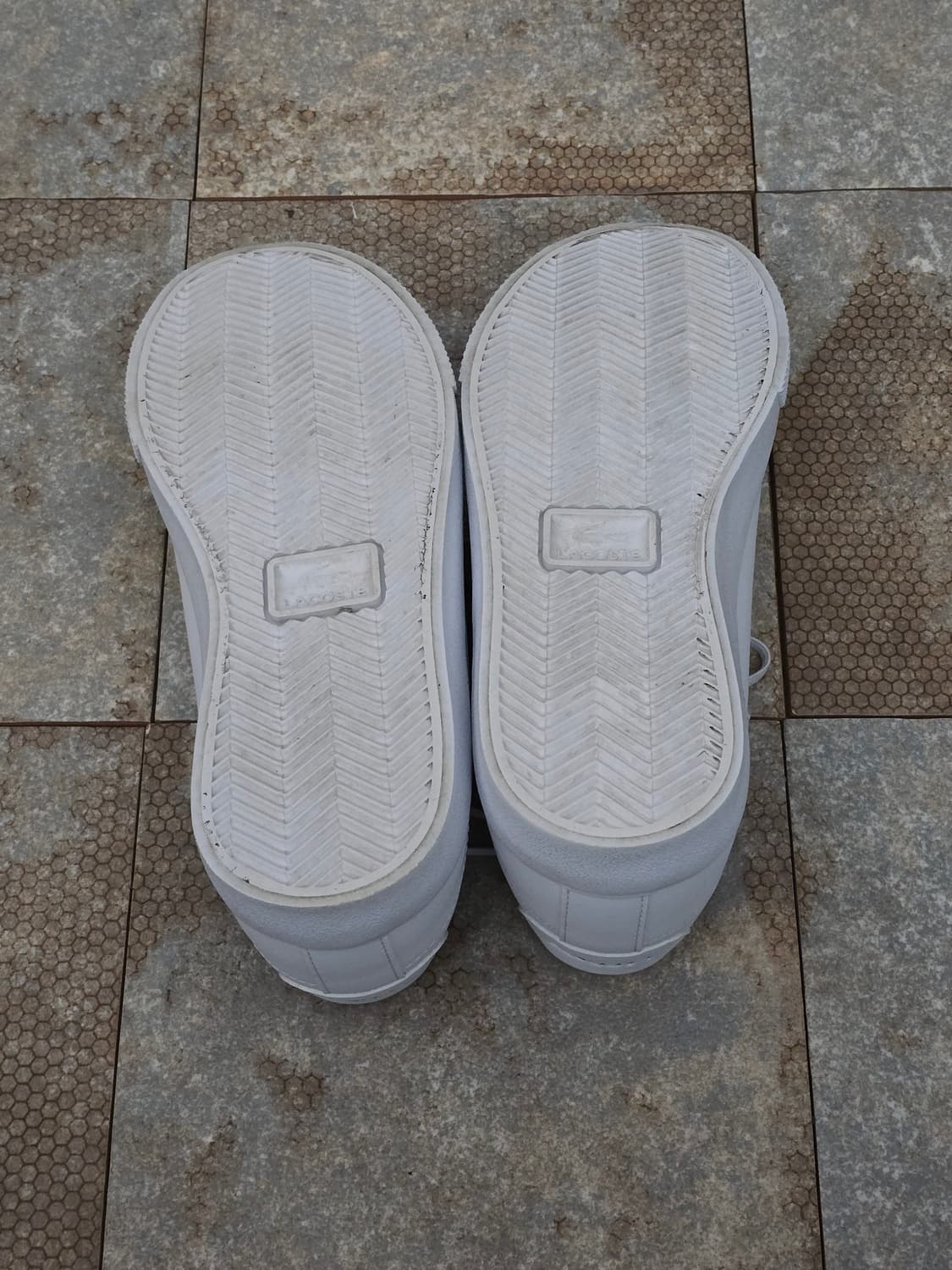 (240)라코스테 르론드 세트 상품이미지9