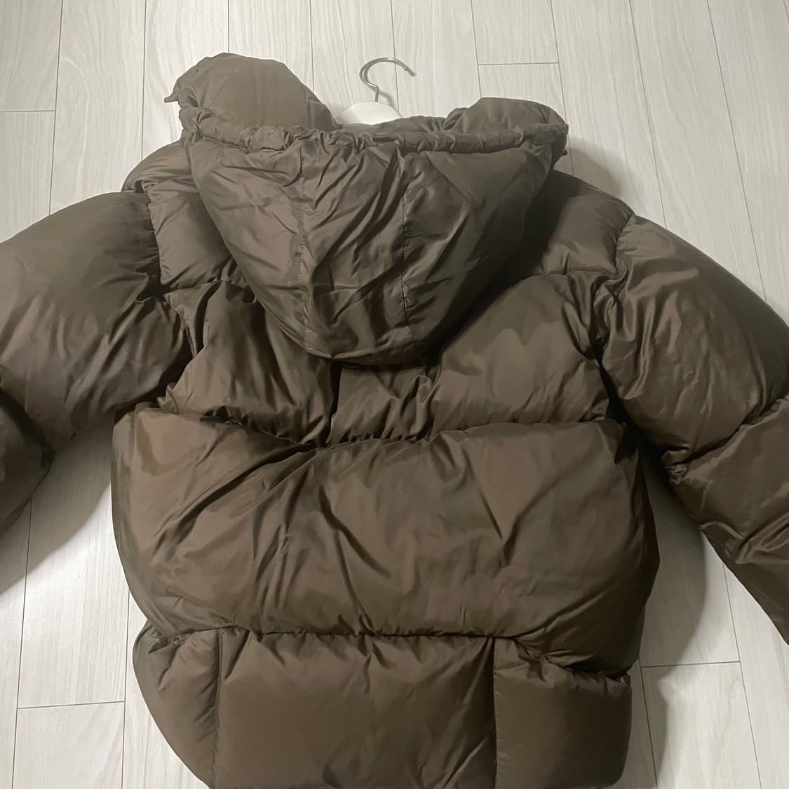 누마레 ee 숏패팅 우먼 M 상품이미지6