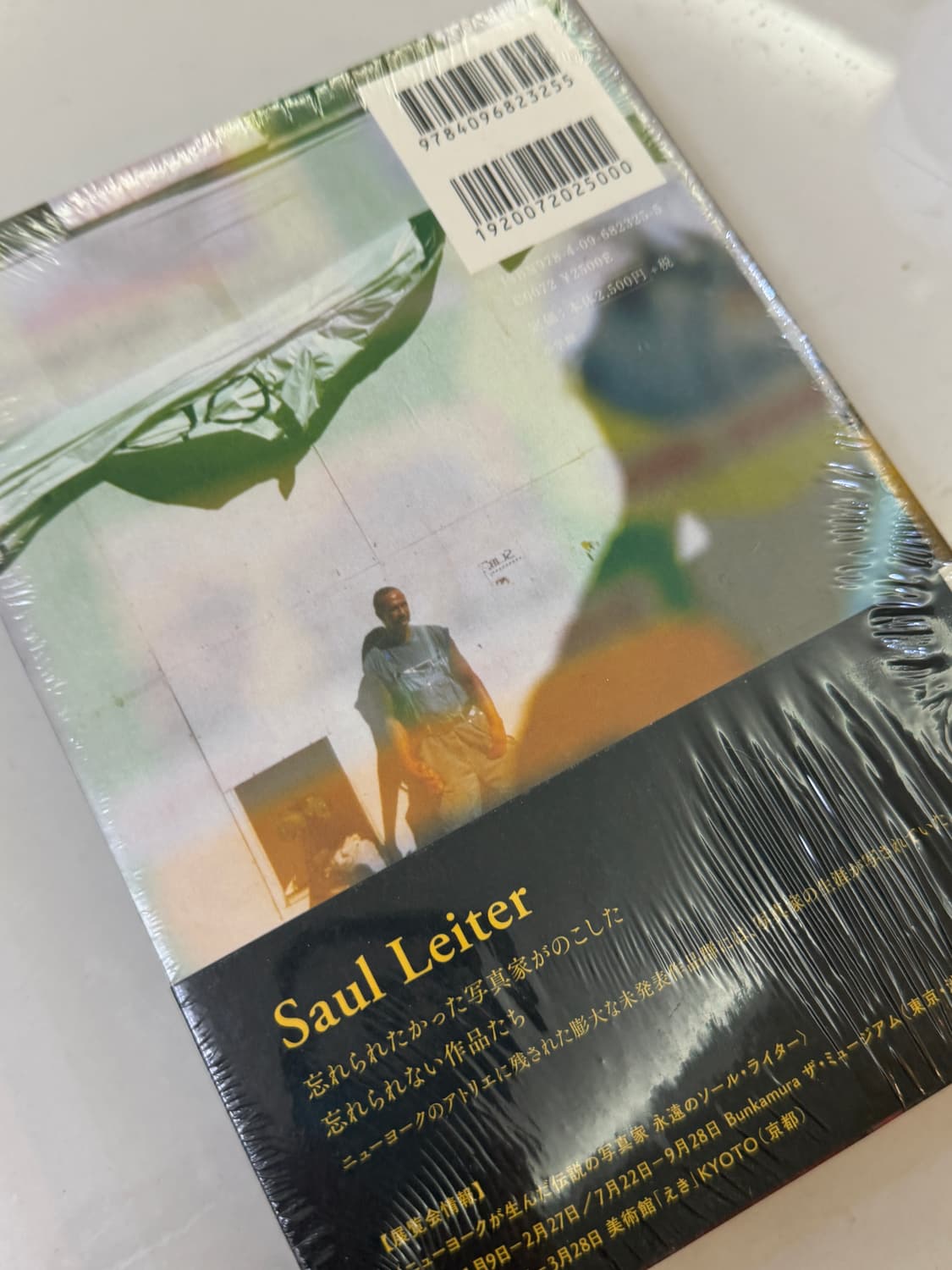 《영원히 사울 레이터(Forever Saul Leiter)》 사진집 상품이미지2