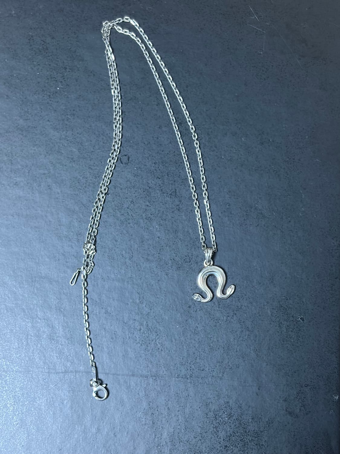 omega snake pendant + 앵커체인 2mm 50cm 상품이미지6
