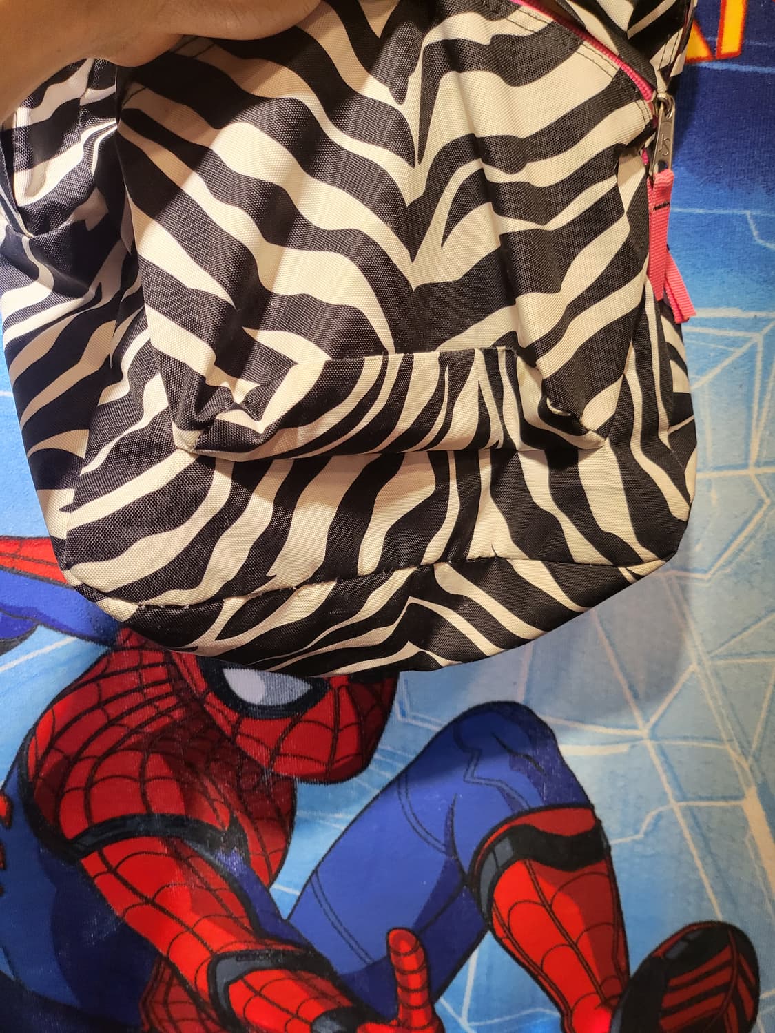 잔스포츠 백팩  상품이미지2