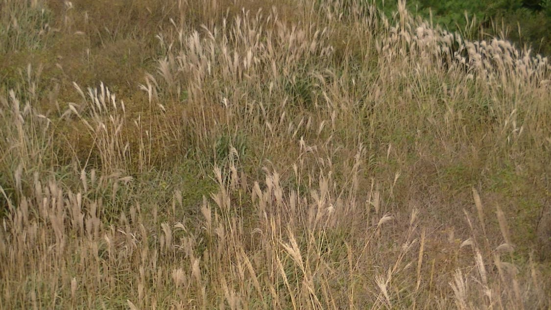 JVC 이베리오 hm 460 (작례 있음) everio 상품이미지6