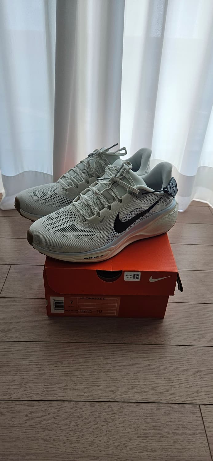 나이키 페가수스41 250   상품이미지1