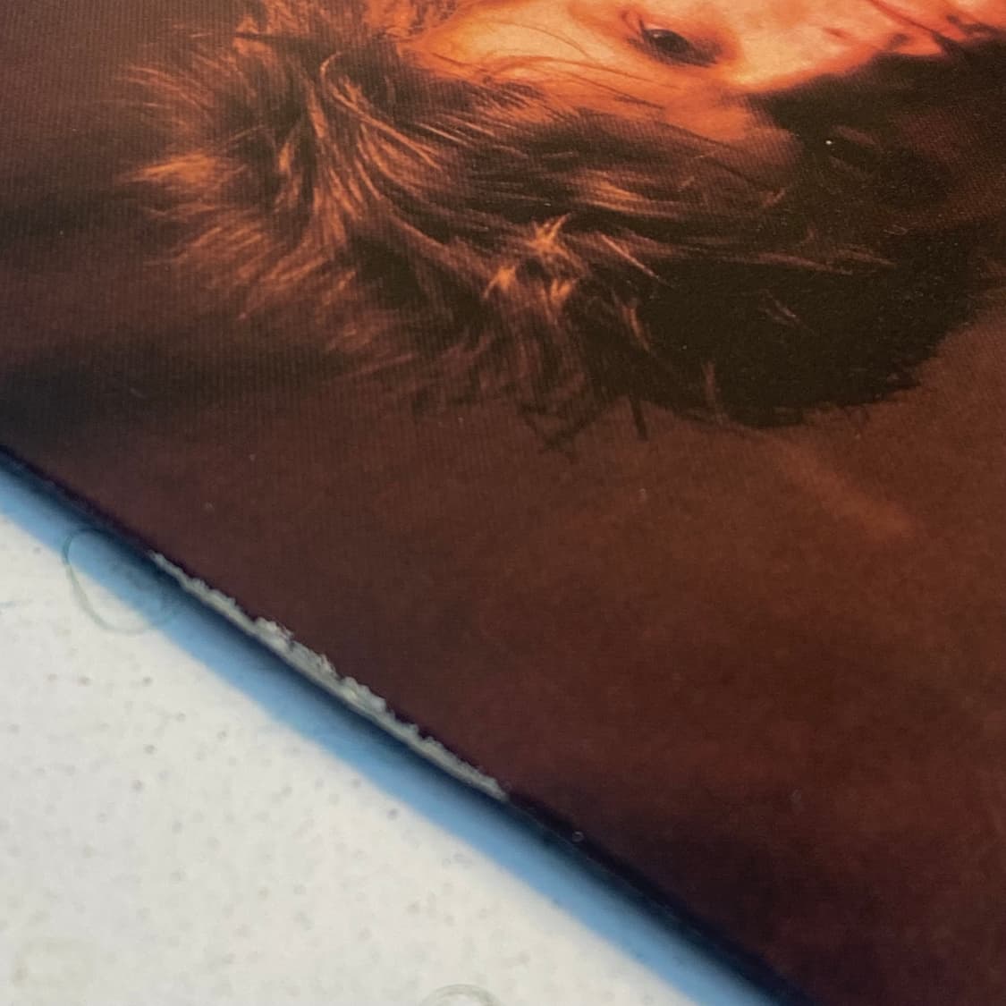 (중고LP-팝록) Bryan Adams -Special Mini Albu 상품이미지7