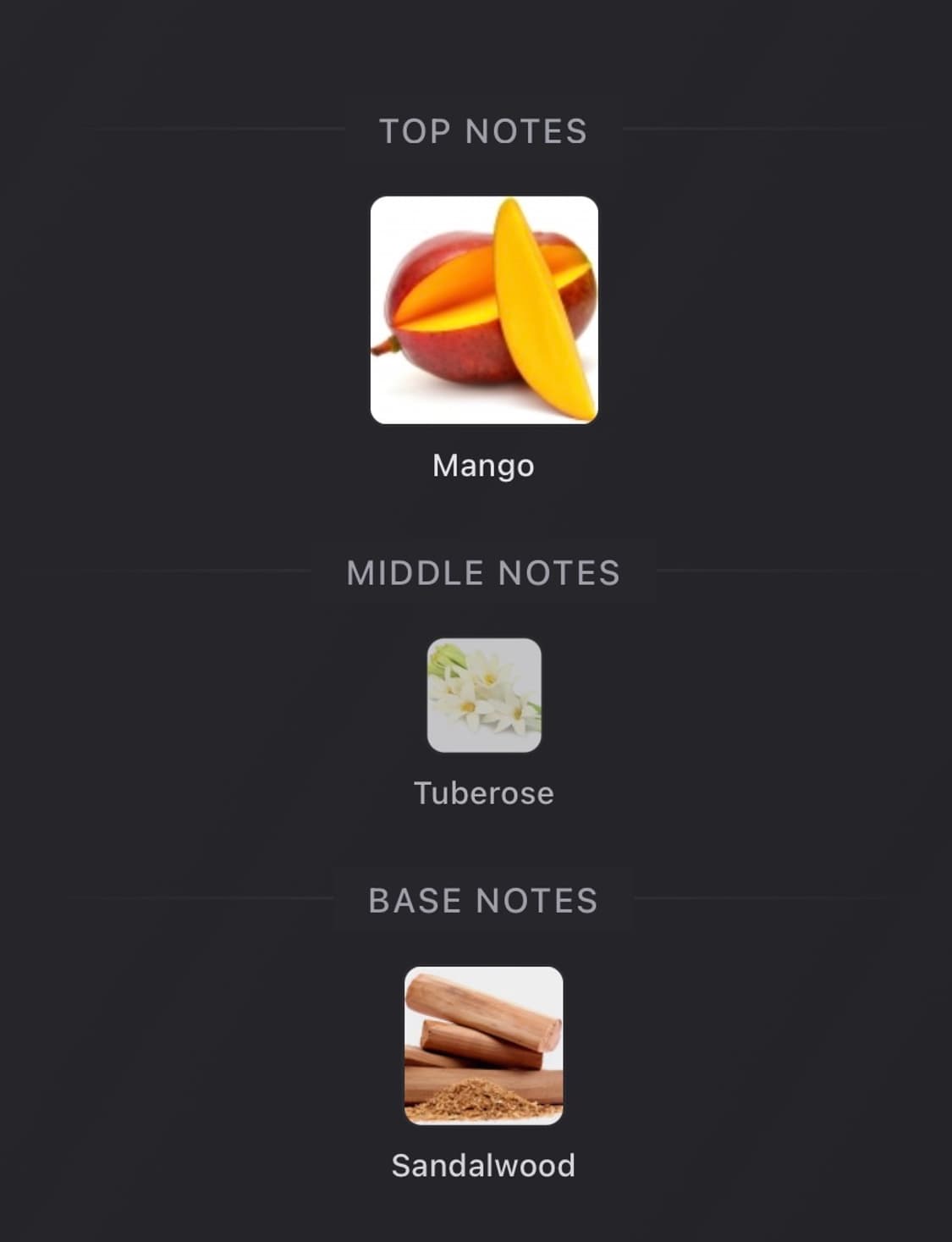 (신제품)메종 마르지엘라 체이싱 선셋 100ml 상품이미지4