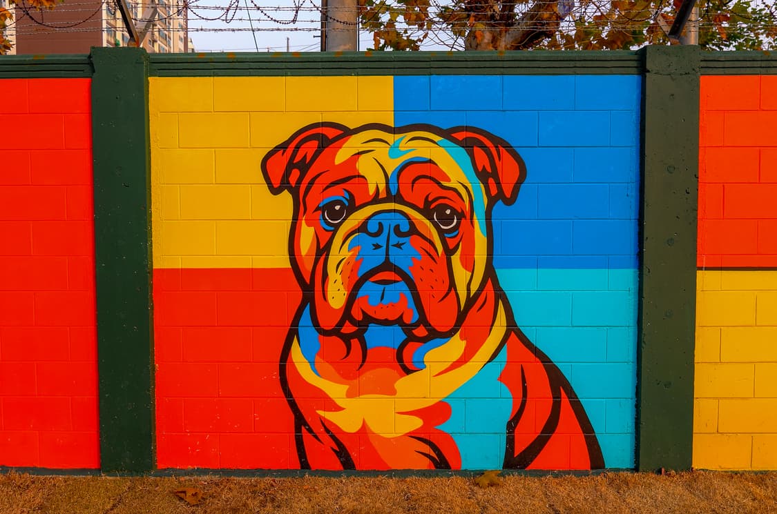 라이카 X Vario (EVF2 포함) 상품이미지7