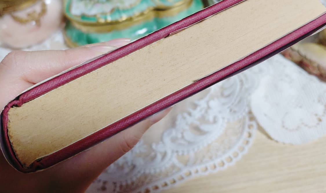 Vintage 아르누보풍 삽화 가득한 아름다운 빈티지 앤틱 시집 상품이미지9