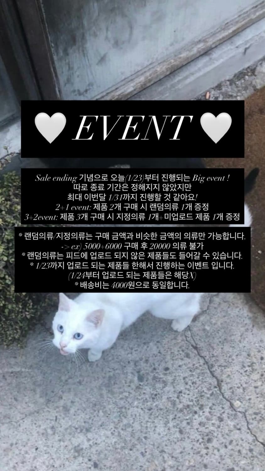 ❤️이벤트❤️ 상품이미지2