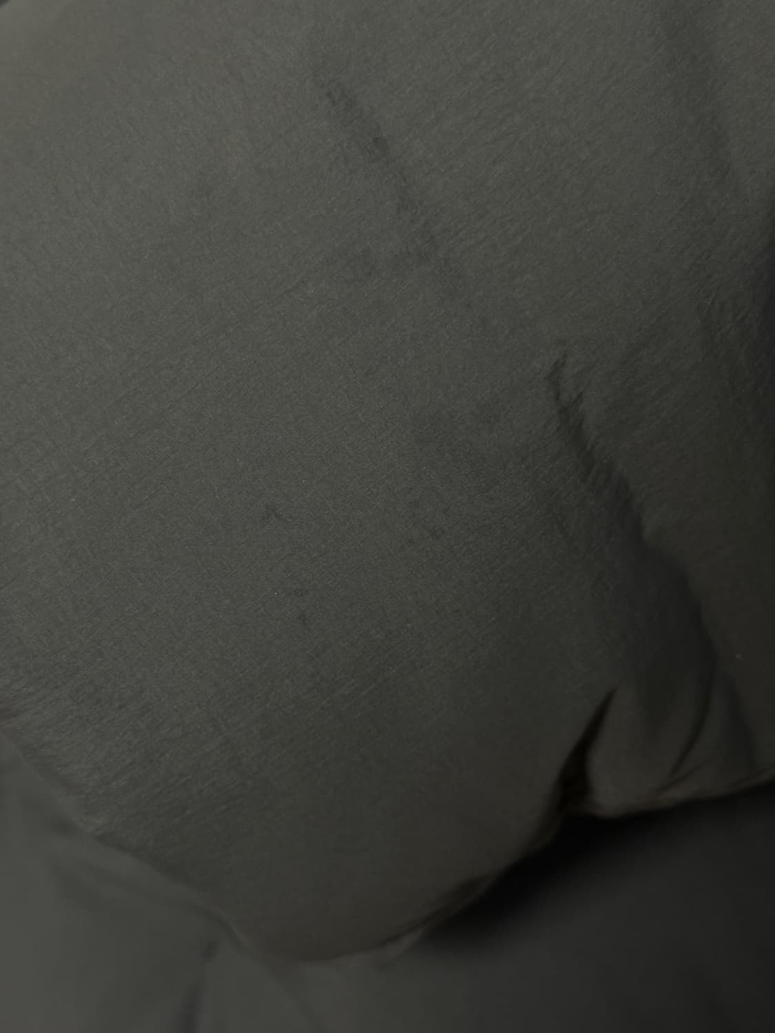 paf 5.0 down right brown 상품이미지6