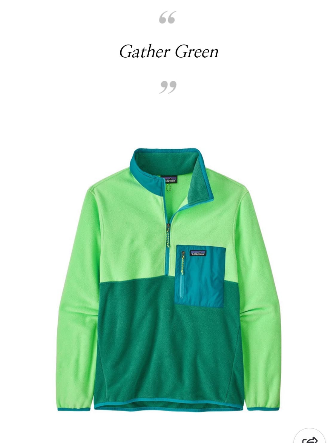 파타고니아 마이크로미디 상품이미지1