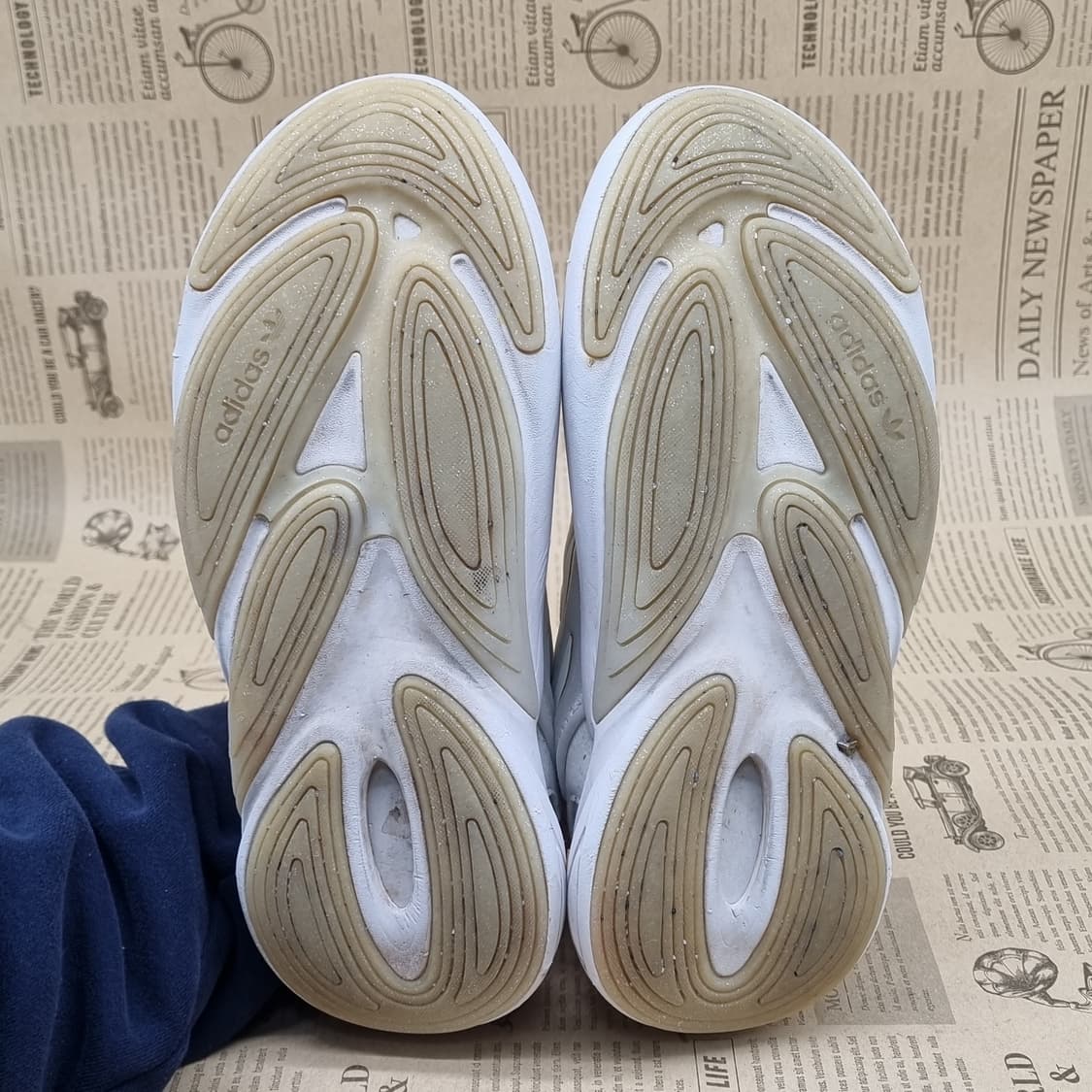 아디다스 오젤리아 여성운동화230 상품이미지3