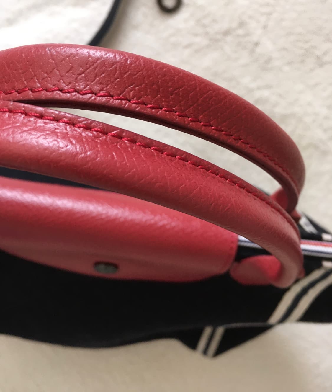 롱샴 한정판 상품이미지2