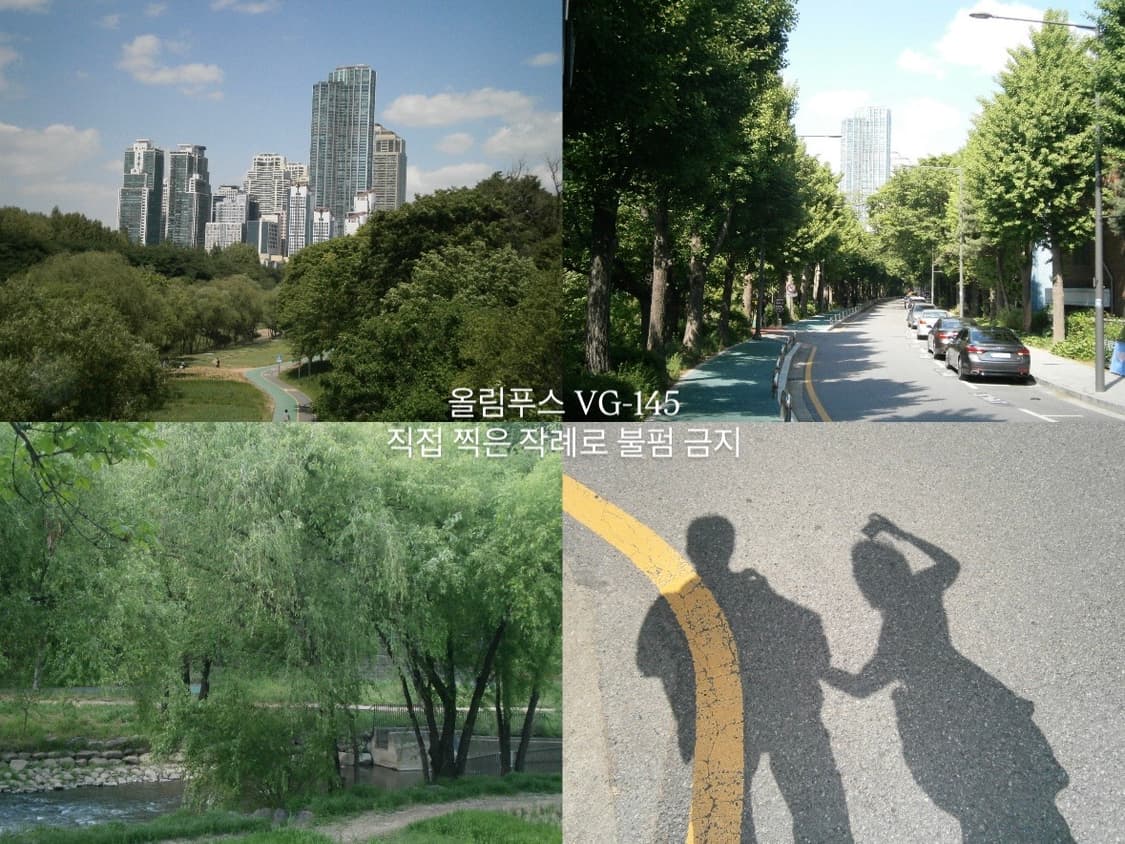 강추, 작례!) 올림푸스 VG-145 빈티지디카 빈티지디지털카메라 상품이미지2