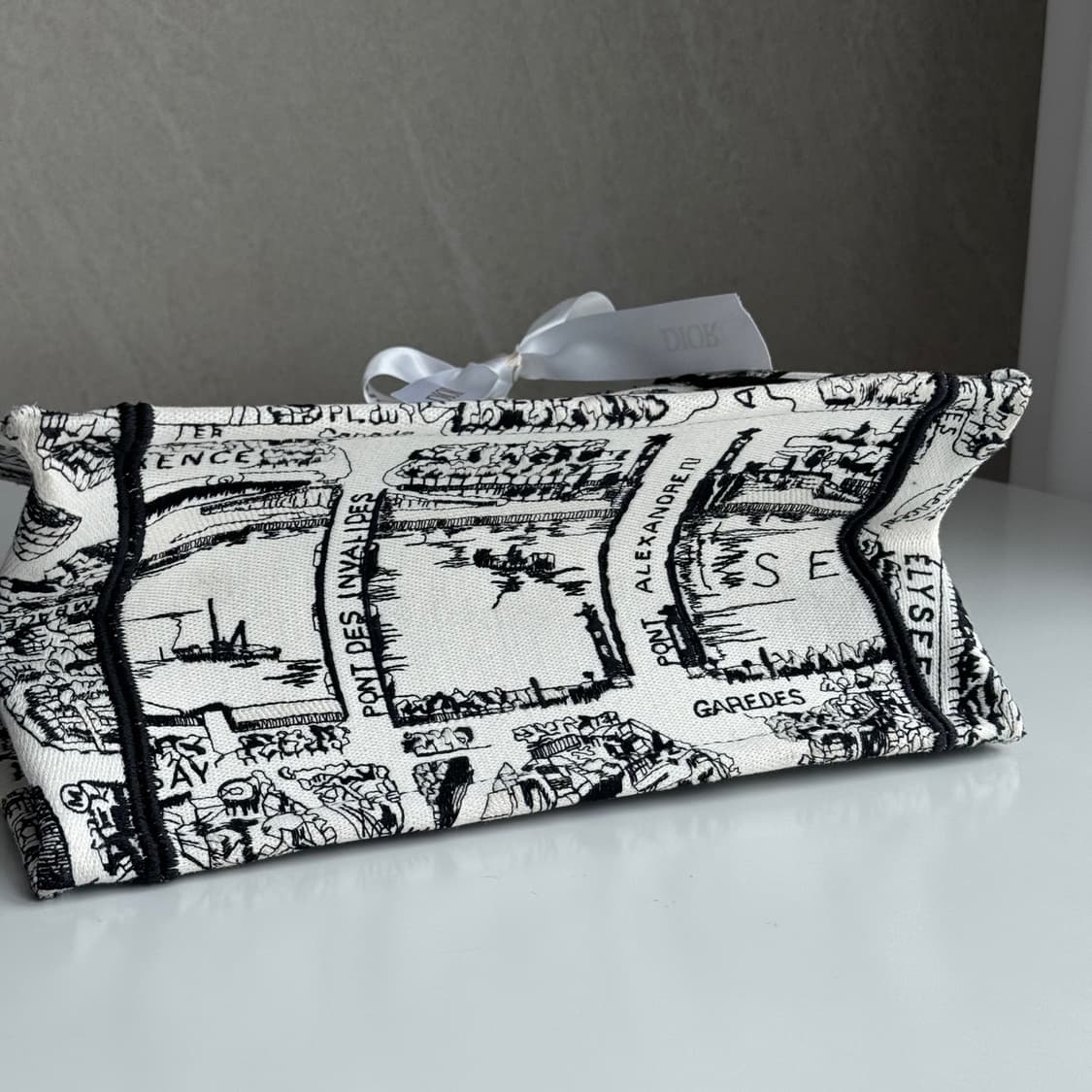 [새상품급] 디올 플랜드 파리 북토트 백 스몰 상품이미지5