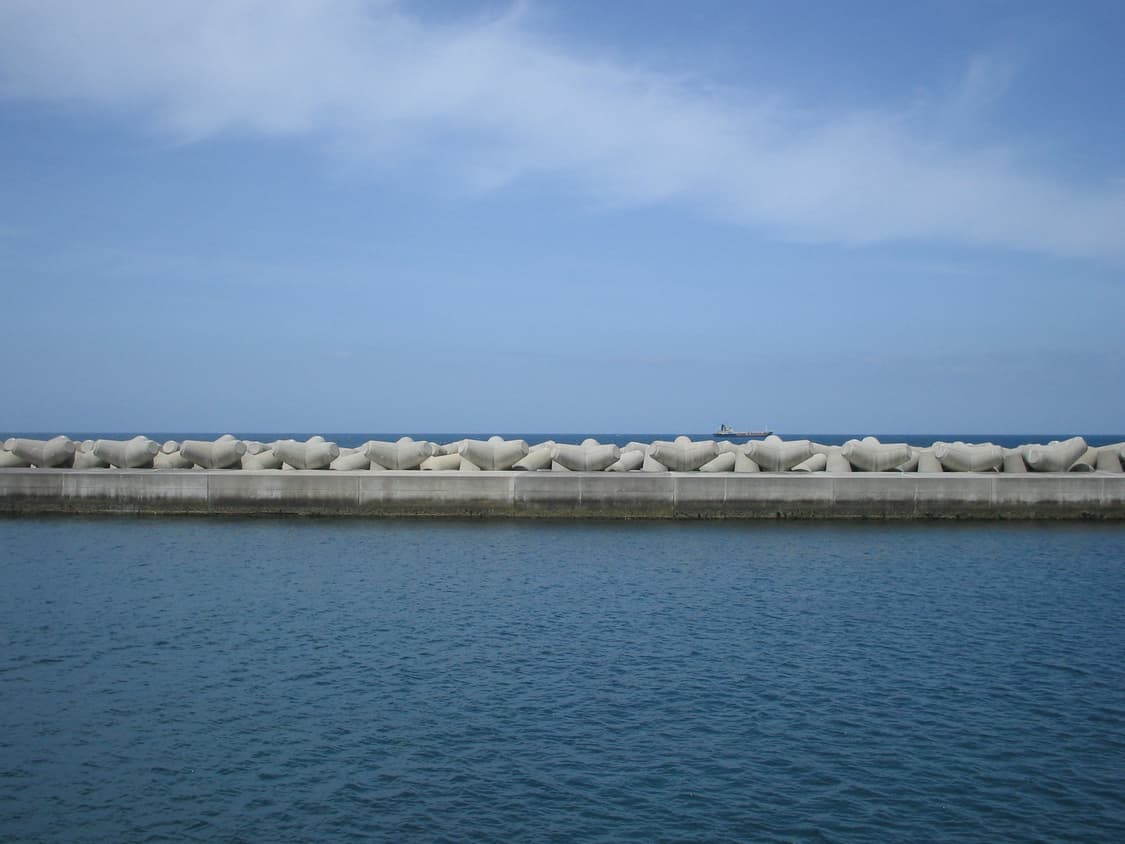 캐논 익서스i 빈티지 디카 상품이미지7