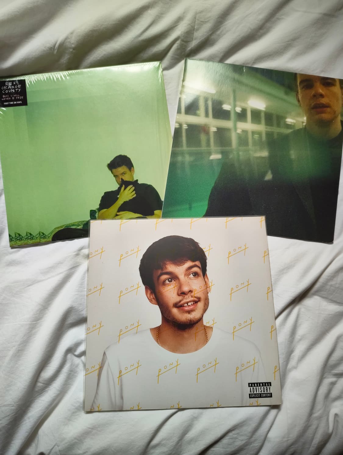 Rex Orange County  상품이미지1