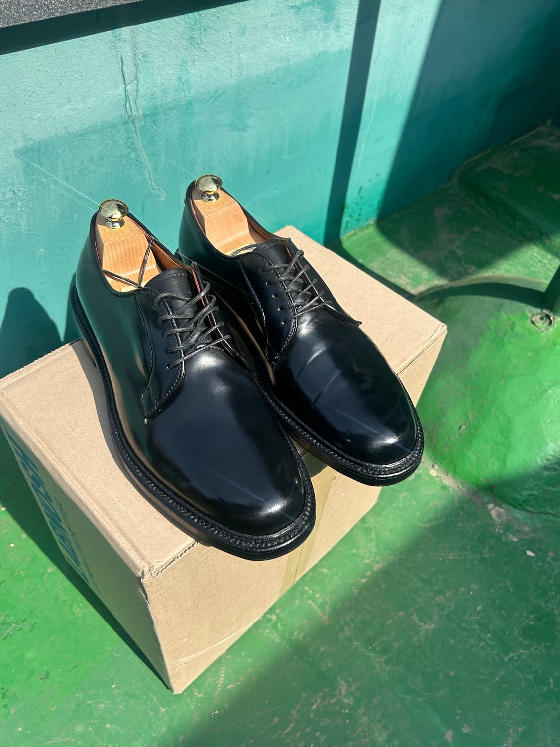 알든9901 9d (alden9901) 상품이미지1