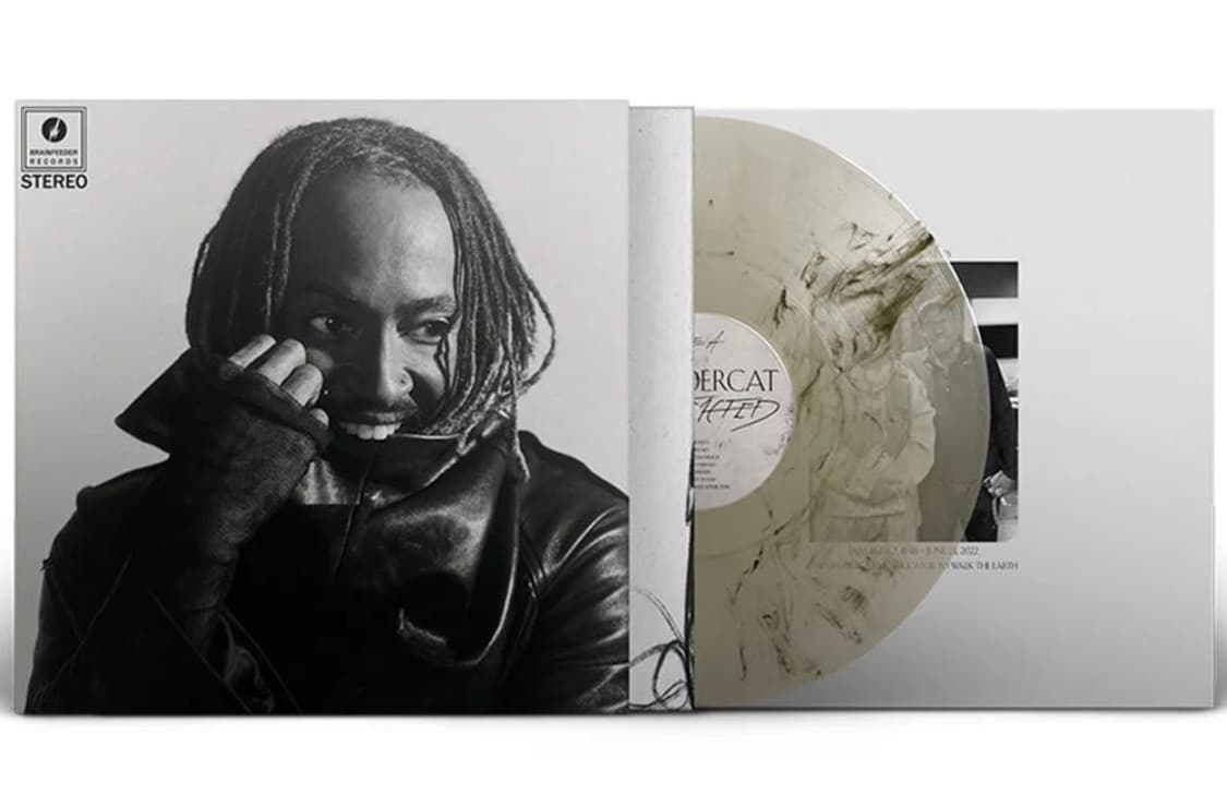 썬더캣 thundercat- distracted 스모크 마블 lp 바이닐 상품이미지1