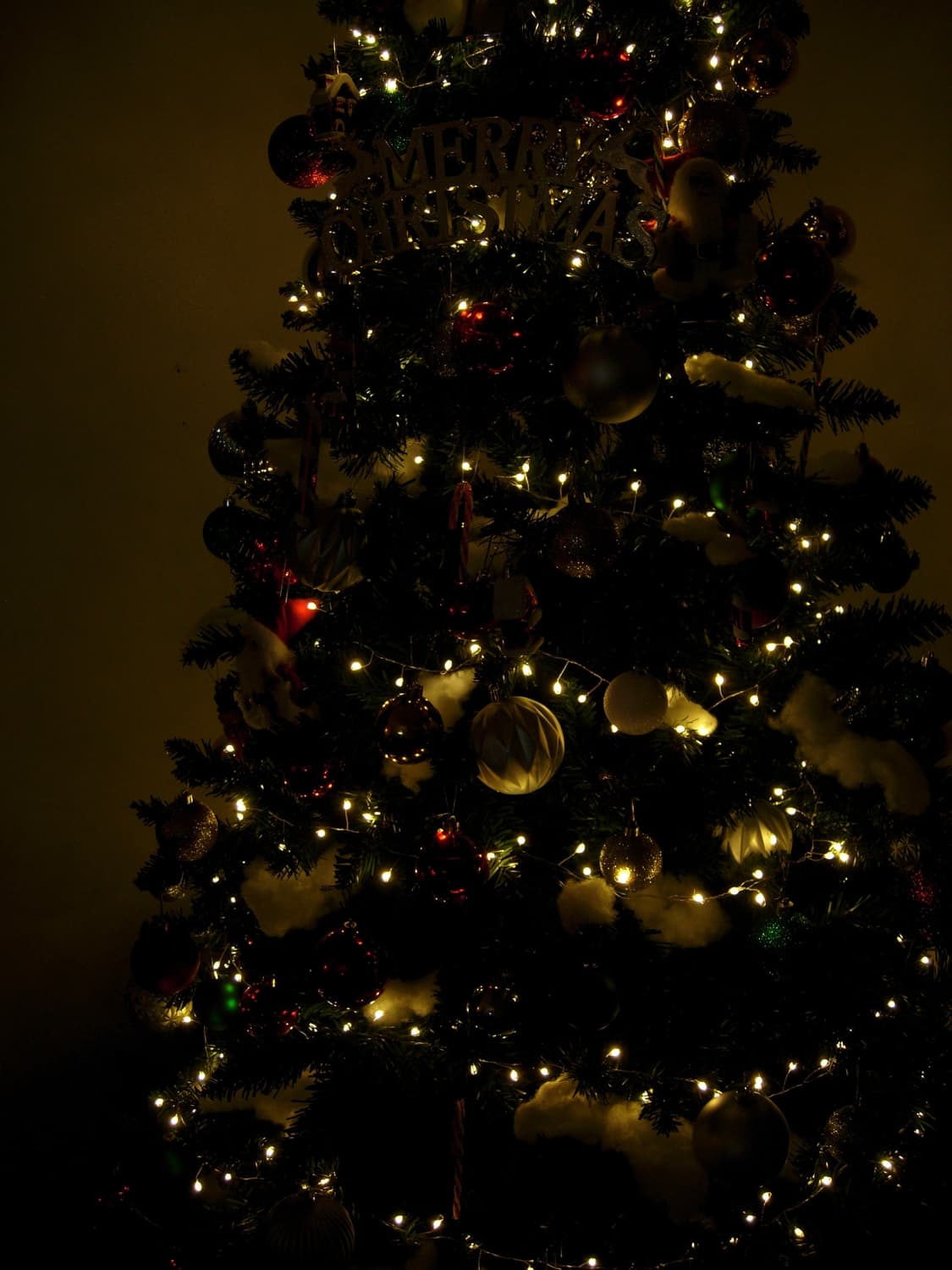 니콘 쿨픽스 p4 nikon coolpix p4 상품이미지9