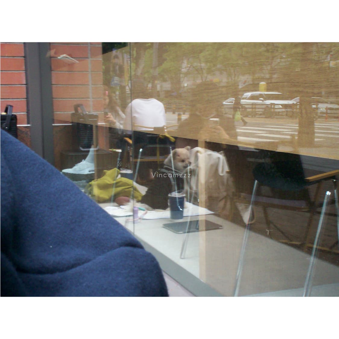 Kodak 코닥 EasyShare C530 디지털카메라 (한국어지원) 상품이미지8