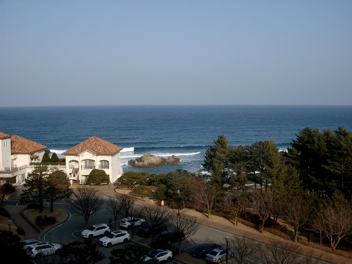 삼성 케녹스 Samsung kenox digimax 220 (작례o 상품이미지7