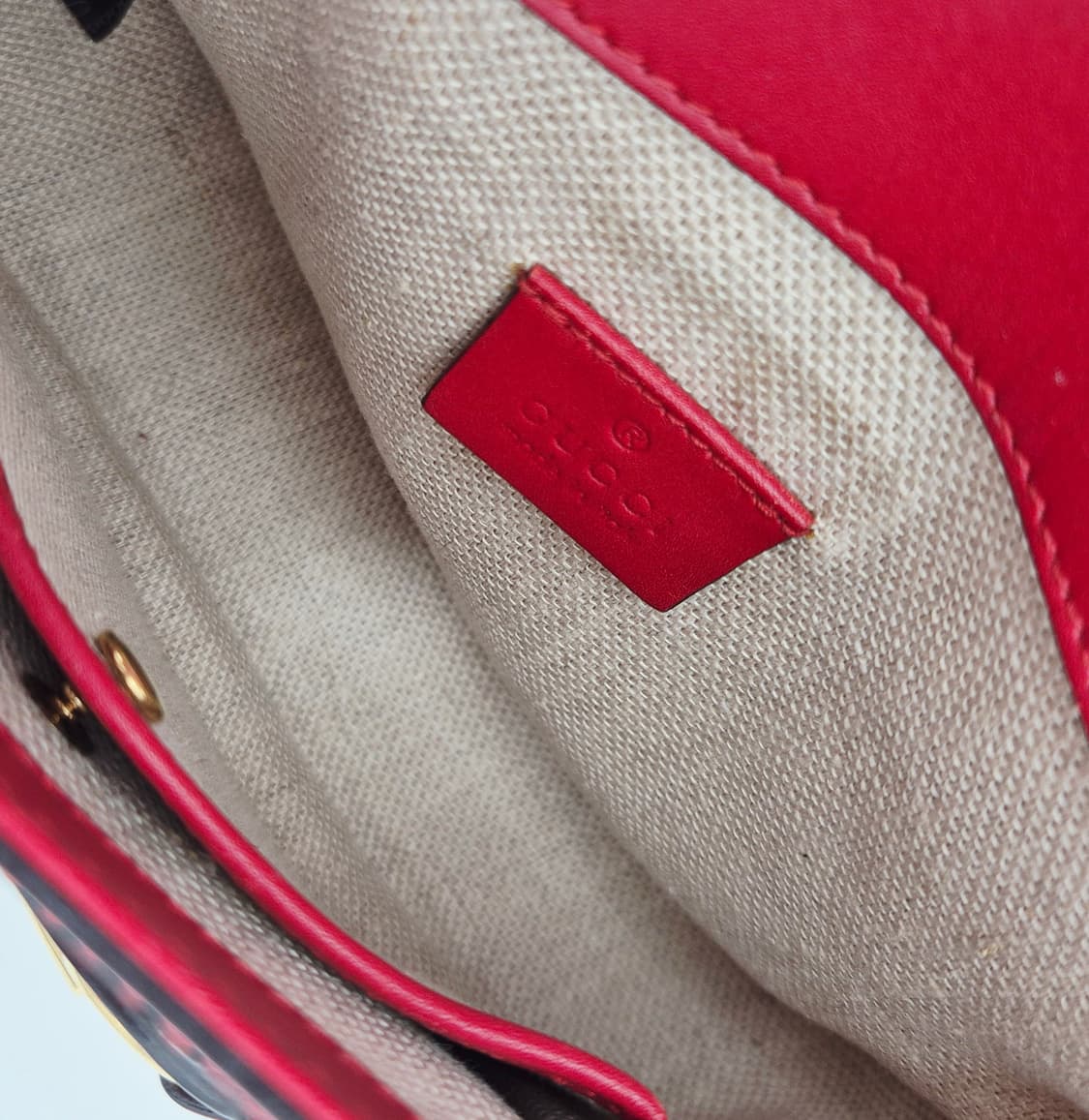 구찌 마몽 레이디 웹 숄더백 384821 상품이미지10