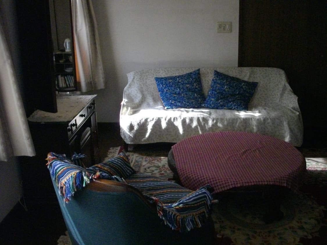 작례⭕️ Pentax Optio 펜탁스 옵티오 E50 상품이미지9