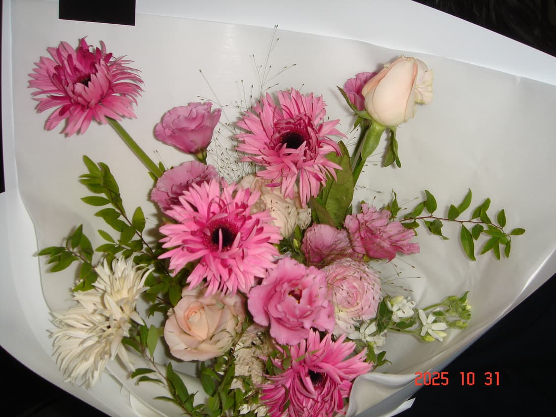 소니 cybershot dsc-t7 상품이미지3