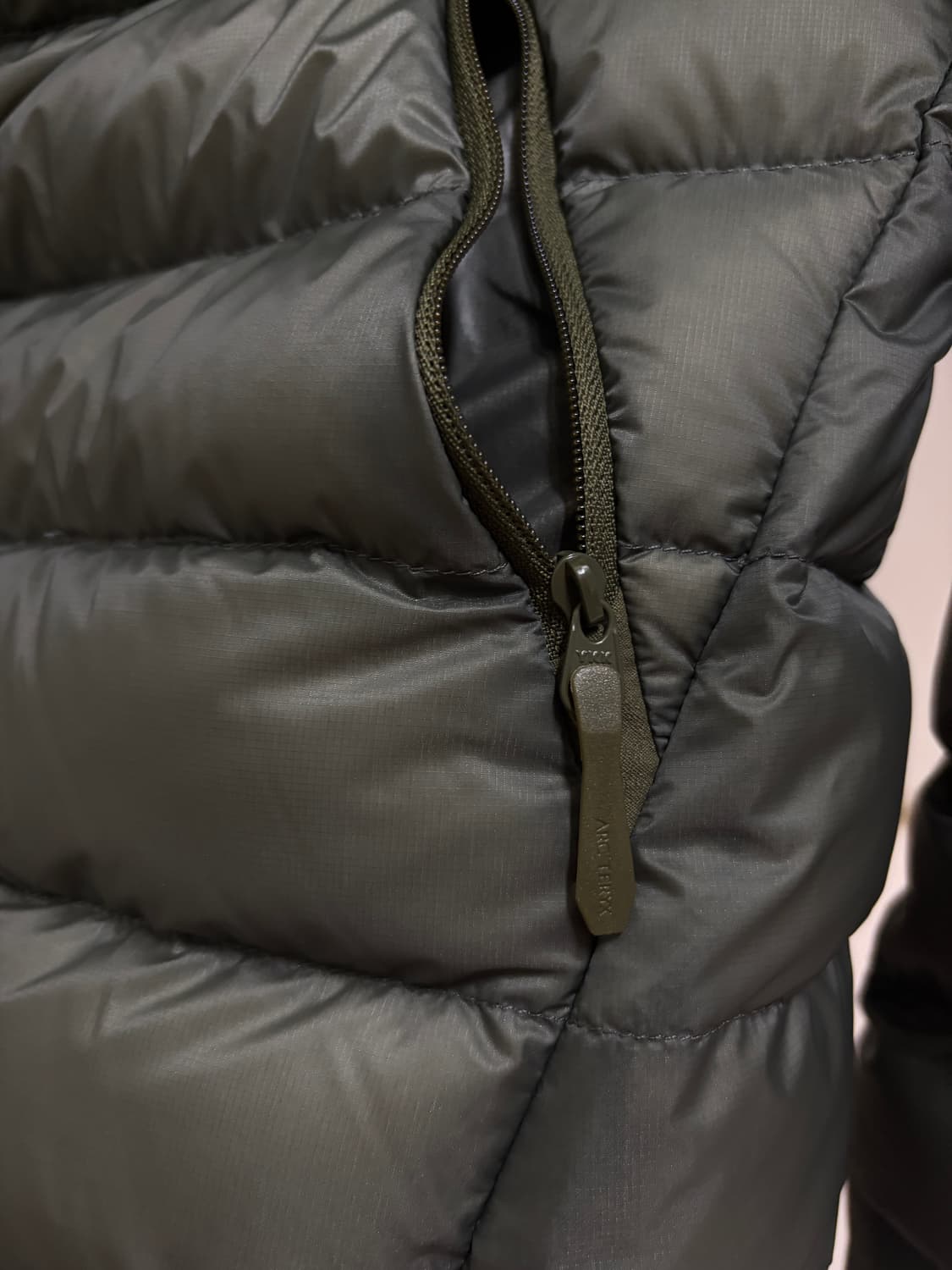 아크테릭스 세륨 후디 포리지 베르베 L 상품이미지6