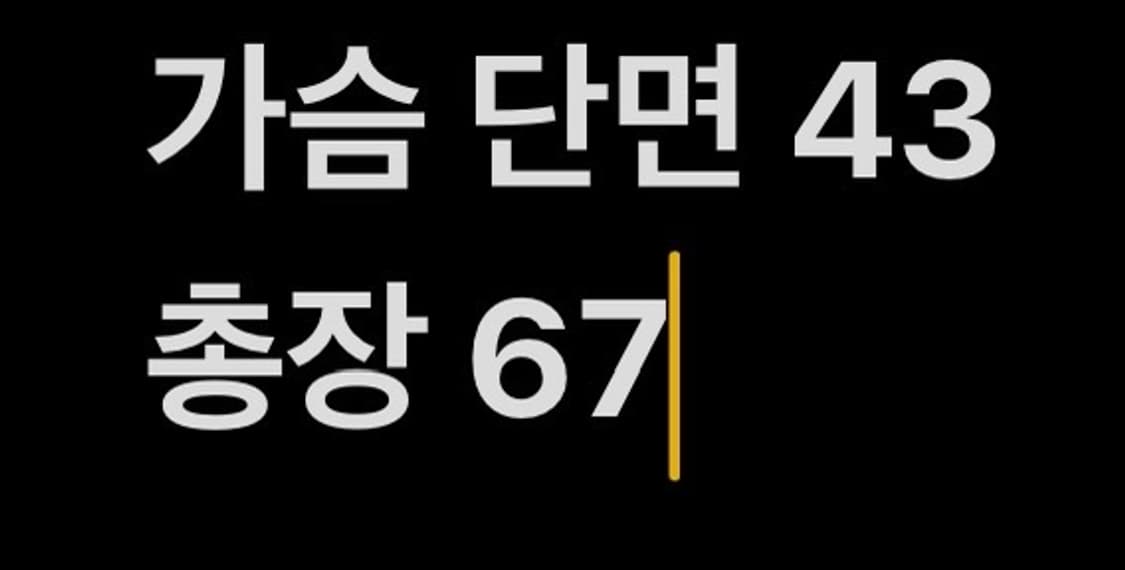 [정품/L,100] 르꼬끄 져지 자켓 b8 상품이미지7