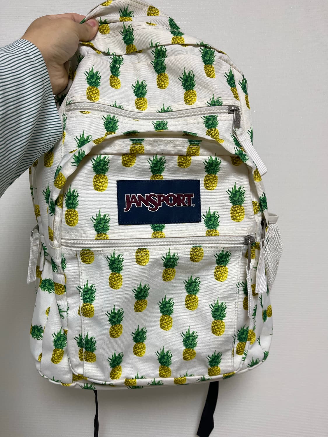 잔스포츠 백팩 상품이미지1