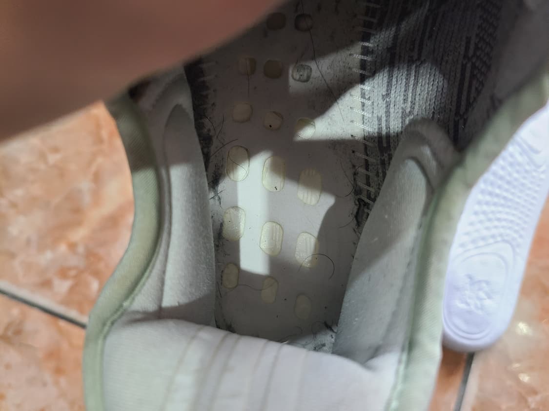 이지350 V2 블루틴트 2017 (280) 상품이미지10